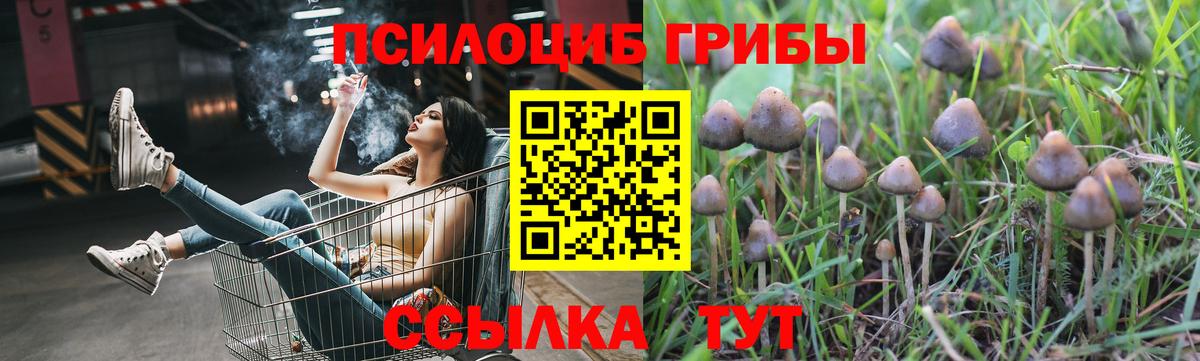 Бахчисарай  даркнет сайт  Вход с VPN  Псилоцибиновые грибы MAGIC MUSHROOMS 